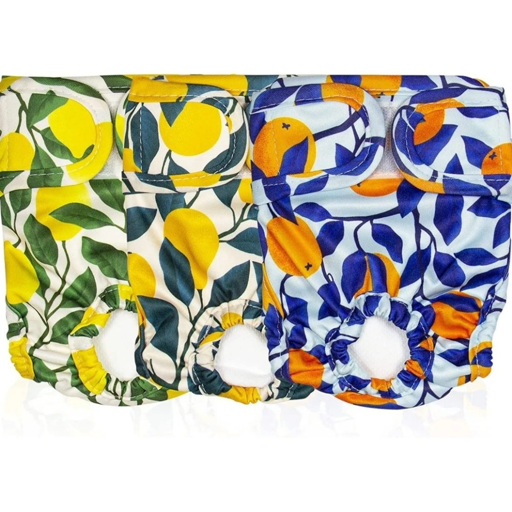 Pet Magasin Washable Botanical Dog Diaper Set Of 3 Large